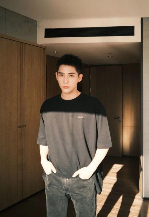 王安宇最新爆料跨年视频,年度精彩瞬间大盘点