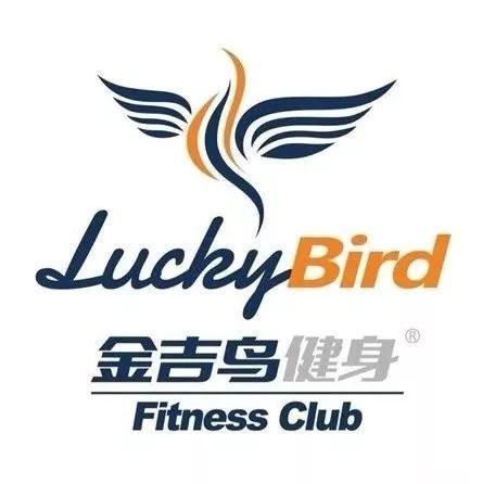 金吉鸟最新爆料,揭秘行业背后惊人内幕