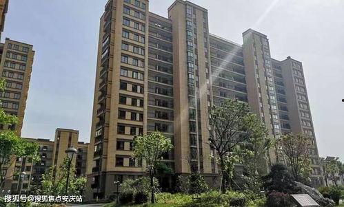 肥乡玉桂园最新爆料新闻,揭秘项目进展与神秘幕后势力