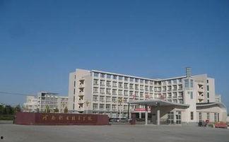 河南技术学院爆料事件最新,揭开校园乱象背后的真相